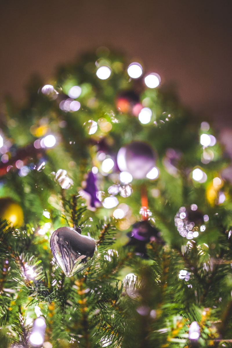 Illustration for article titled Holiday Photo Challenge Results